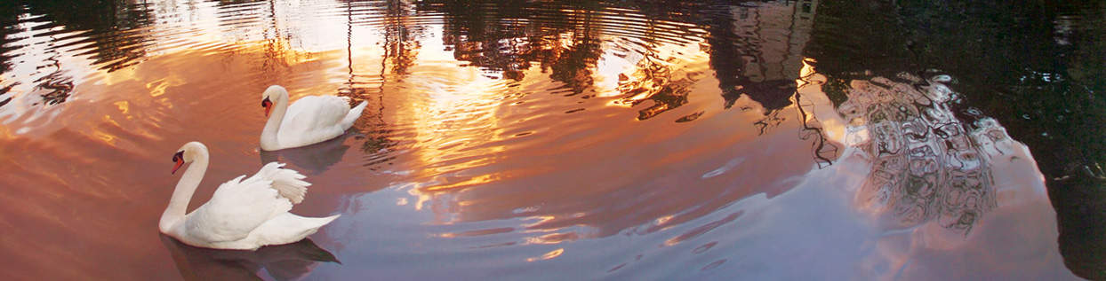 Self-Realization Fellowship Lake Shrine