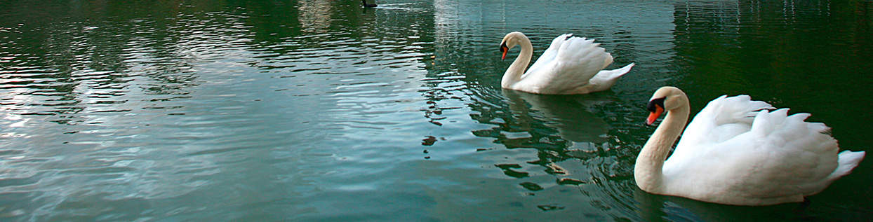 Self-Realization Fellowship Lake Shrine